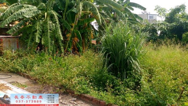 苗栗苗栗市農舍-3