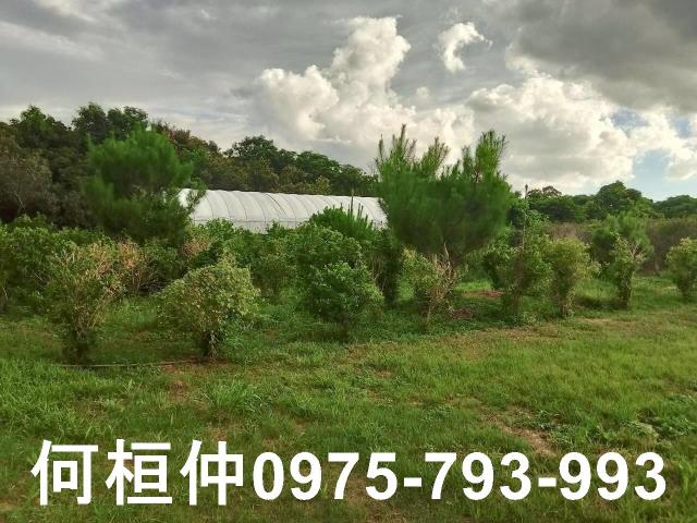 苗栗頭份農舍-2