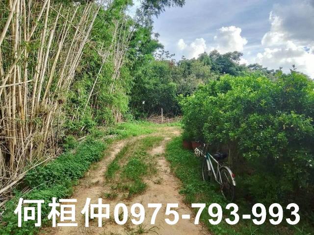 苗栗頭份農舍-6