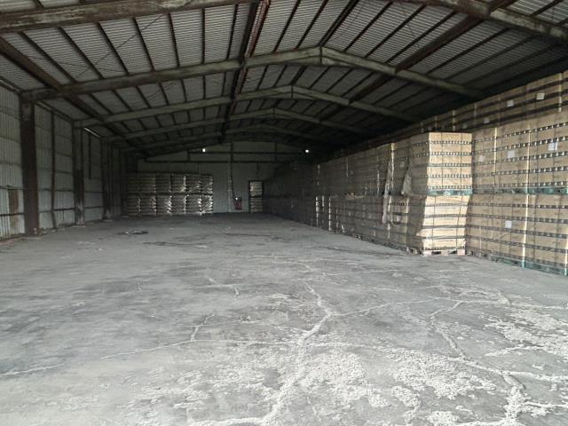 苗栗造橋廠房-0