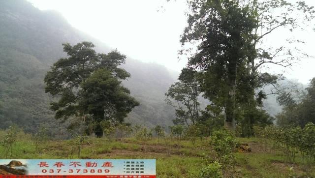 苗栗大湖農舍-3