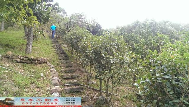 苗栗大湖農舍-5