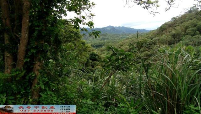 苗栗頭屋農地-0