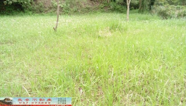 苗栗頭屋農地-1