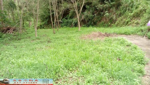 苗栗頭屋農地-2