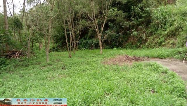 苗栗頭屋農地-3