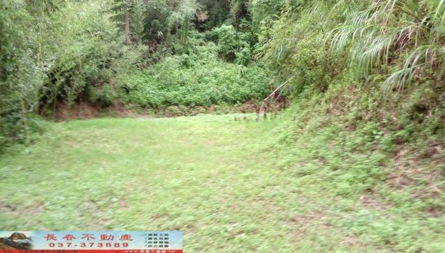 苗栗頭屋農地-4