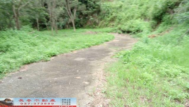 苗栗頭屋農地-5