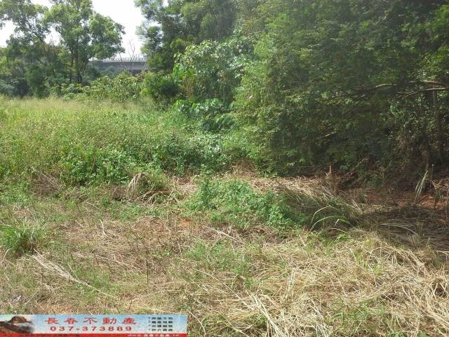 苗栗銅鑼農地-0