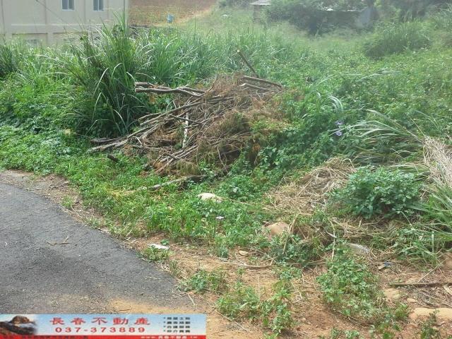 苗栗銅鑼農地-3