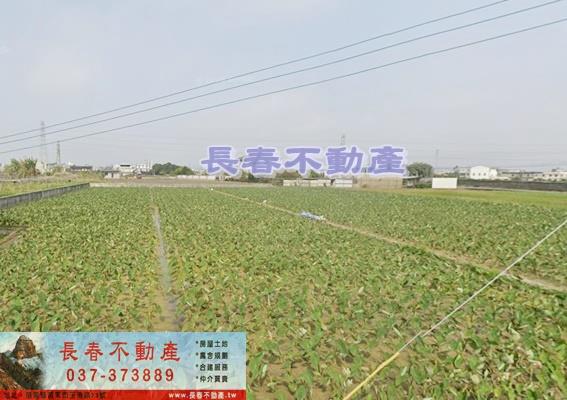 苗栗農地-0