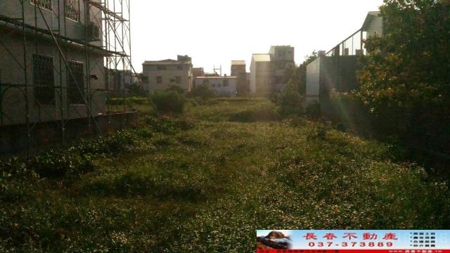 苗栗公館農地-0