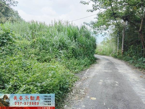 苗栗公館建地-0