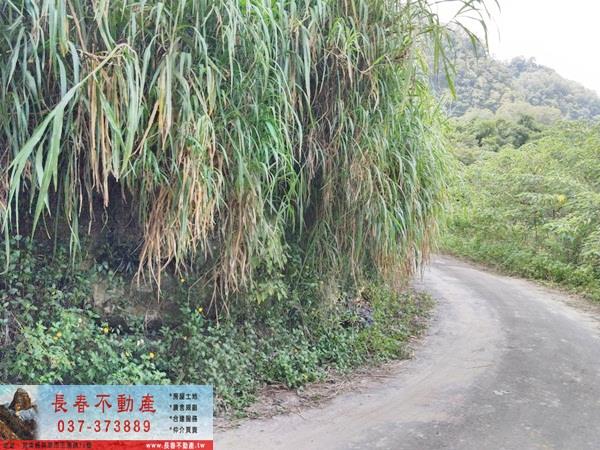 苗栗公館建地-1