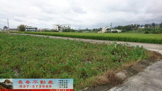 公館農地-1