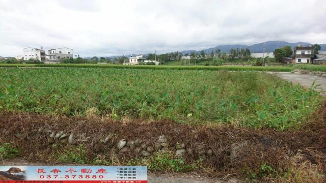 公館農地-5