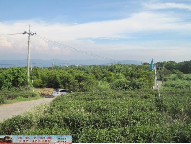 苗栗苗栗市農地-0