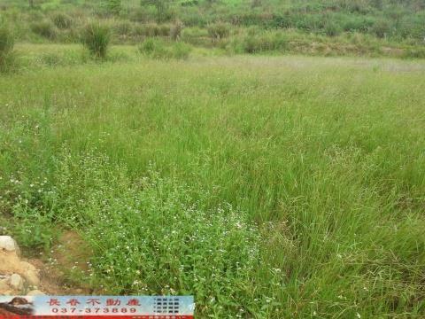 苗栗苗栗市農地-0