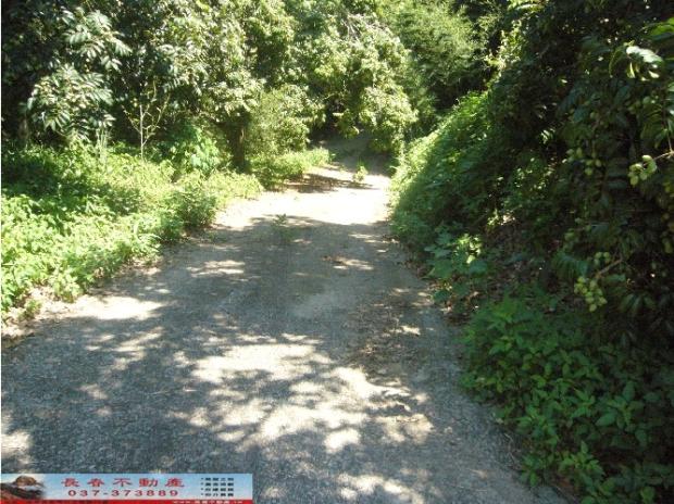 苗栗西湖農地-2