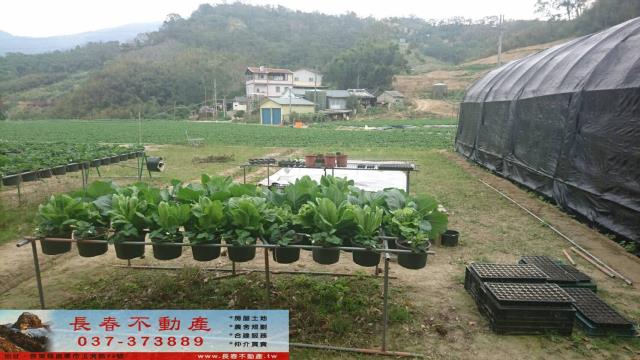 苗栗大湖農地-0