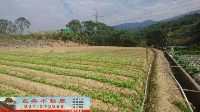 苗栗大湖農地-1