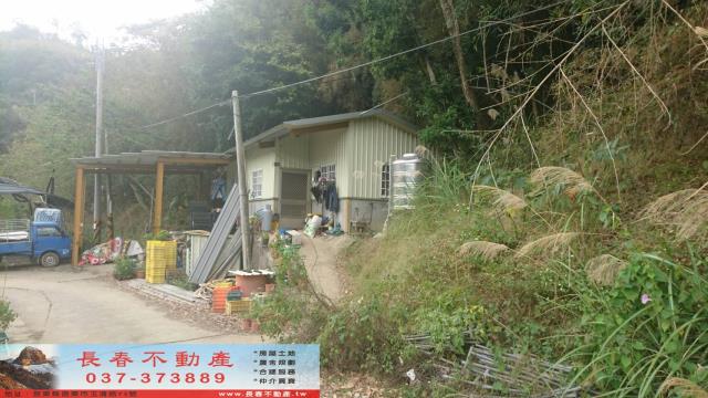 苗栗大湖農地-2