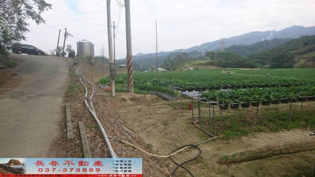 苗栗大湖農地-3