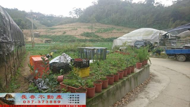 苗栗大湖農地-4