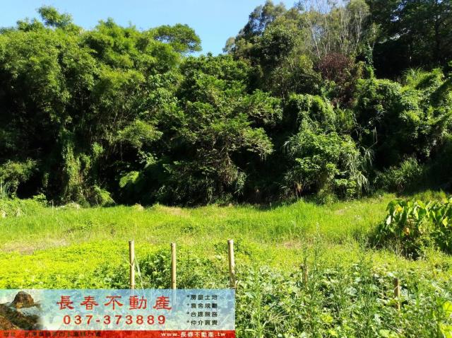 頭屋農地-4
