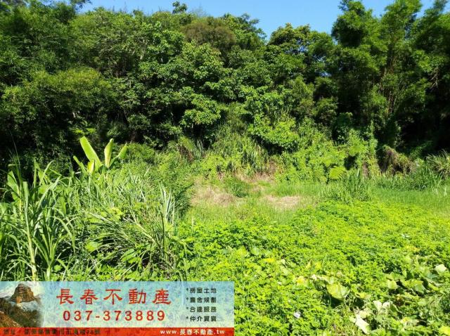 頭屋農地-5