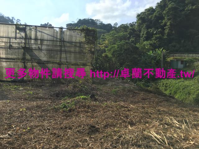 苗栗大湖農地-2
