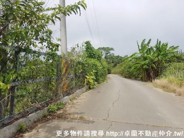 苗栗大湖農地-6