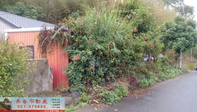 苗栗大湖建地-0