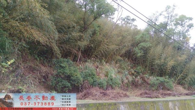 苗栗大湖建地-1