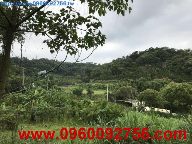 苗栗農地-0