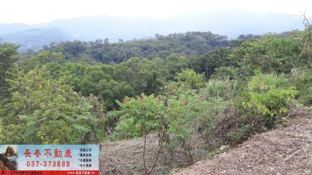 苗栗大湖農地-0