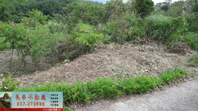 苗栗大湖農地-1