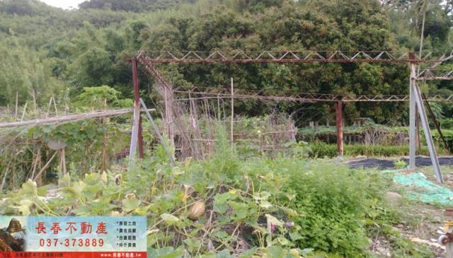 苗栗公館建地-0