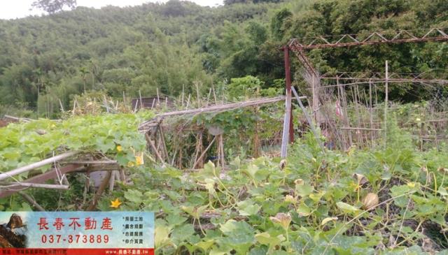 苗栗公館建地-1