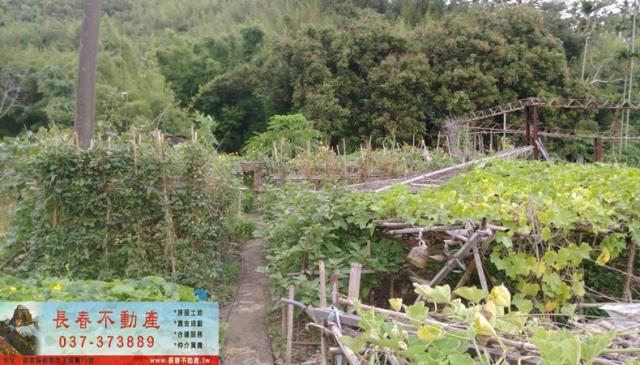 苗栗公館建地-2