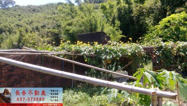 苗栗公館建地-4