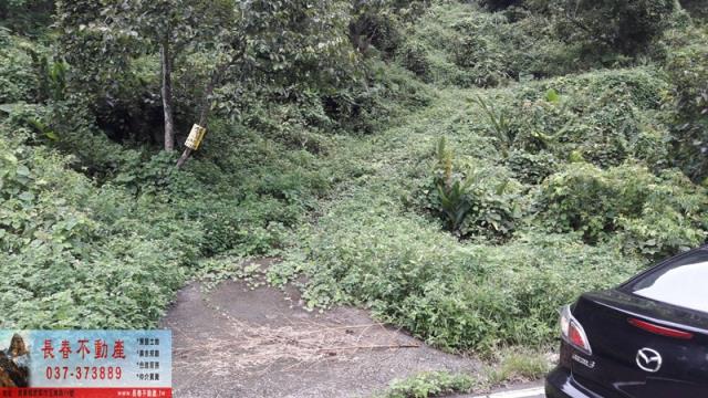 苗栗獅潭農地-0