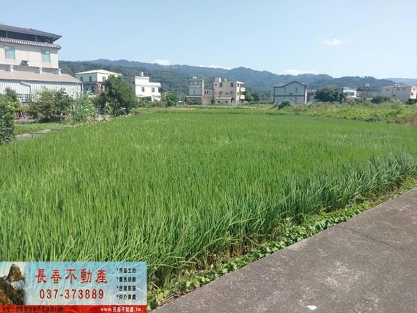 苗栗公館農地-0