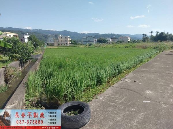苗栗公館農地-1
