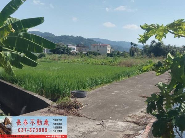 苗栗公館農地-2