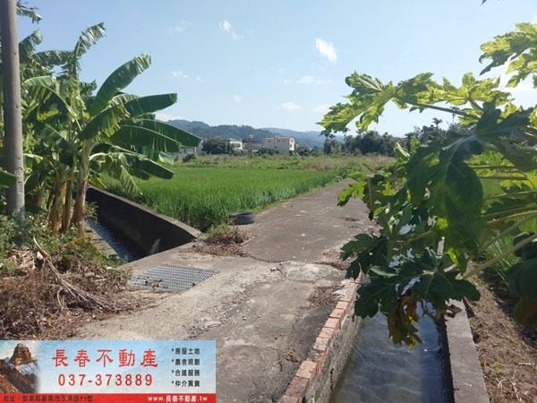 苗栗公館農地-3