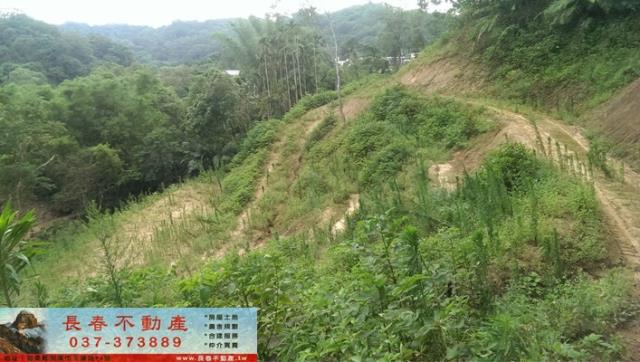 苗栗公館農地-0