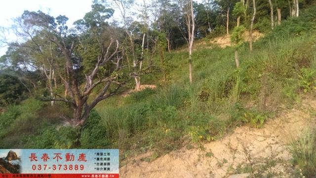 苗栗公館農地-1