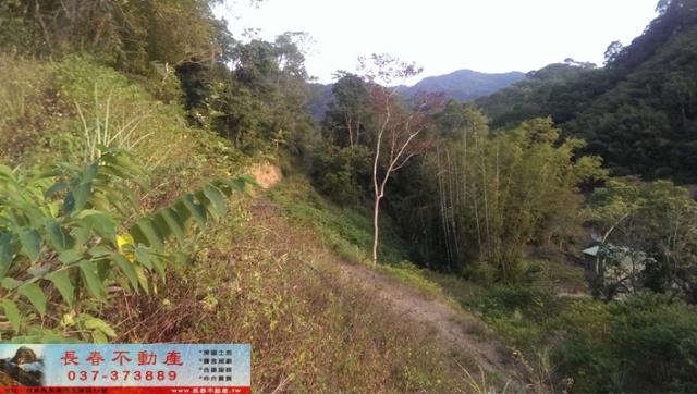 苗栗公館農地-2