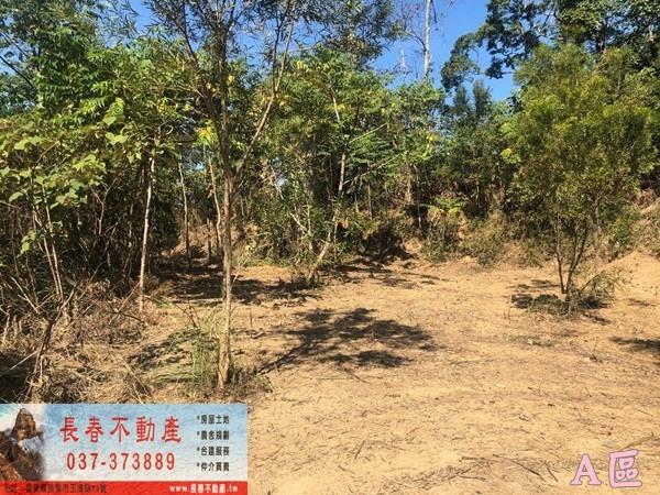 公館農地-0
